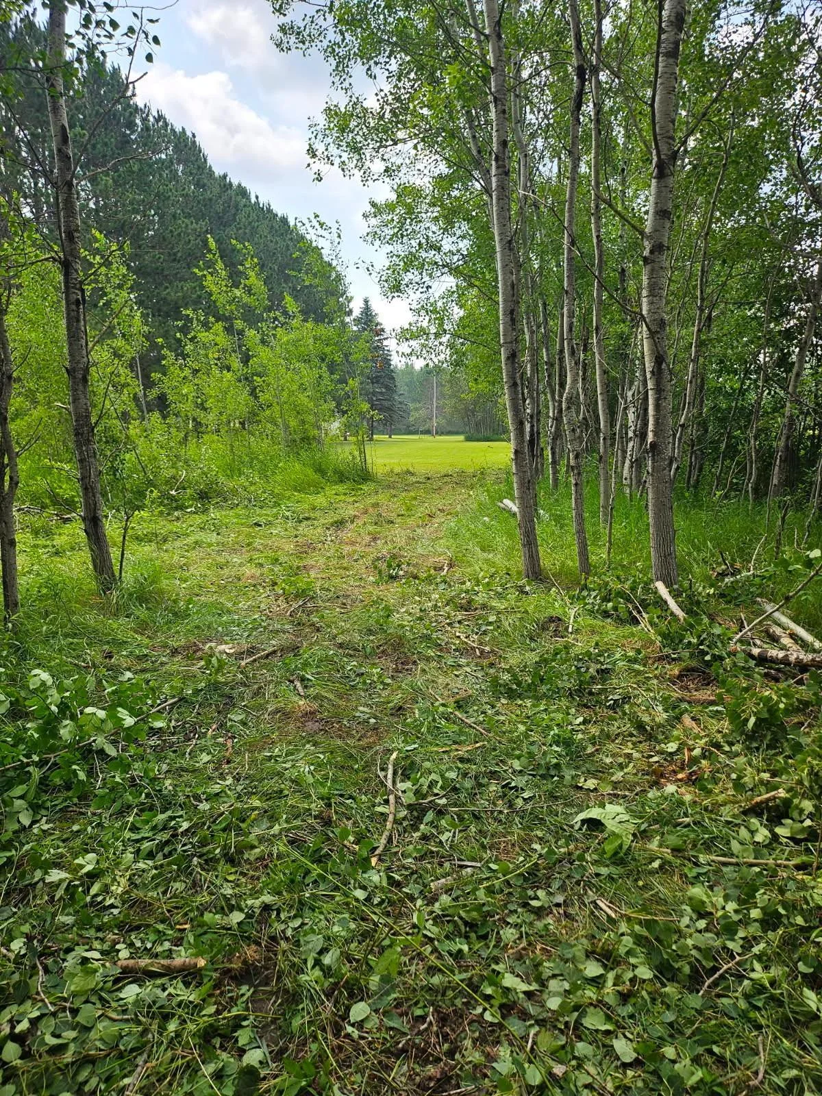 New clearing of 453rd