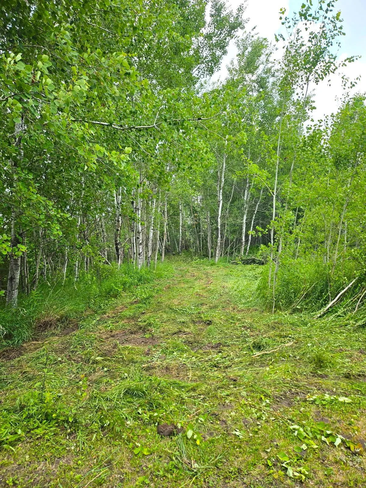 New clearing of 453rd