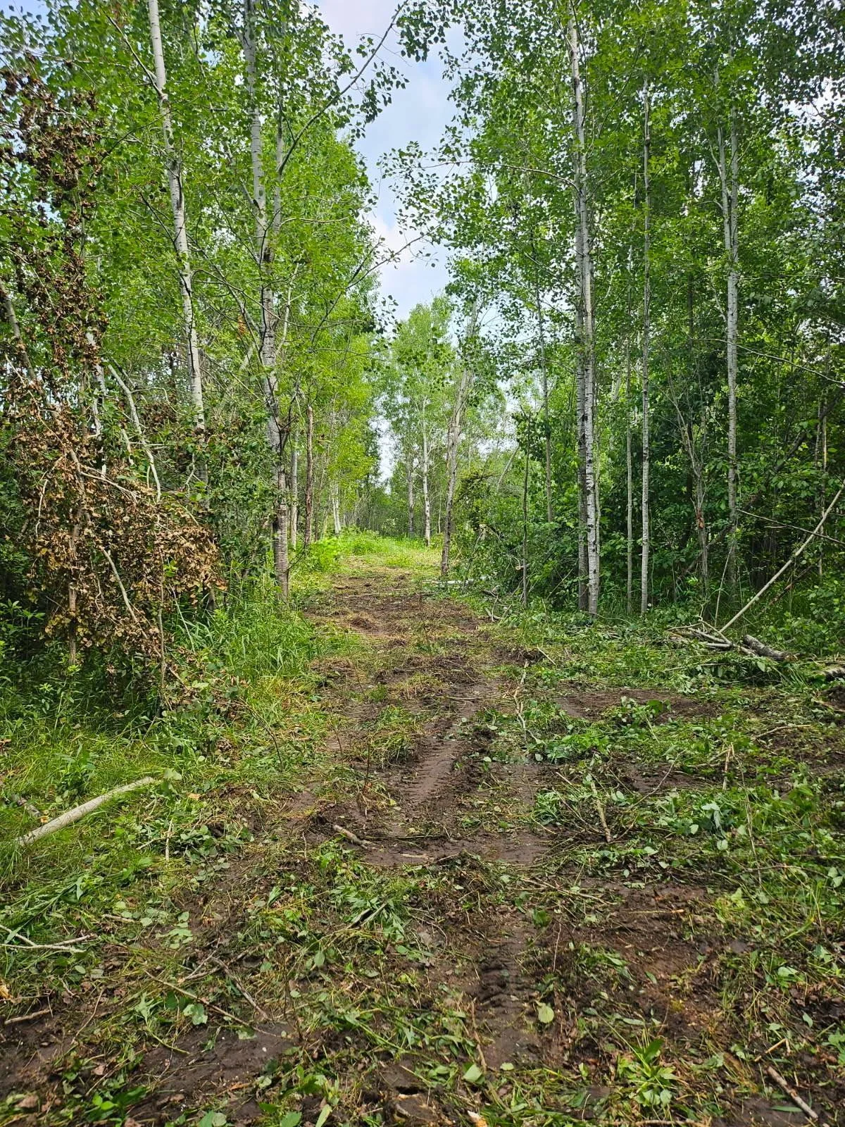 New clearing of 453rd