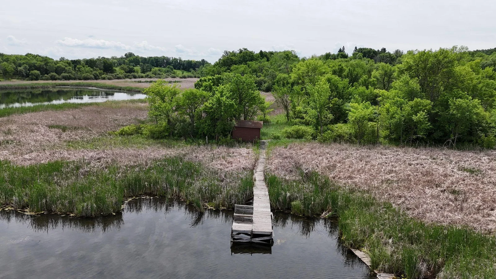 DJI_20250618114215_0246_D.JPG