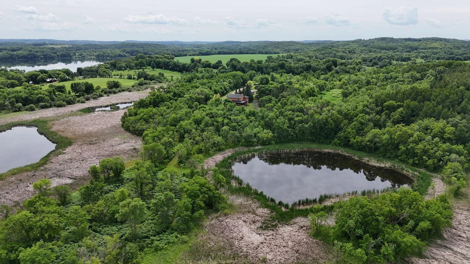 DJI_20250618114324_0254_D.JPG