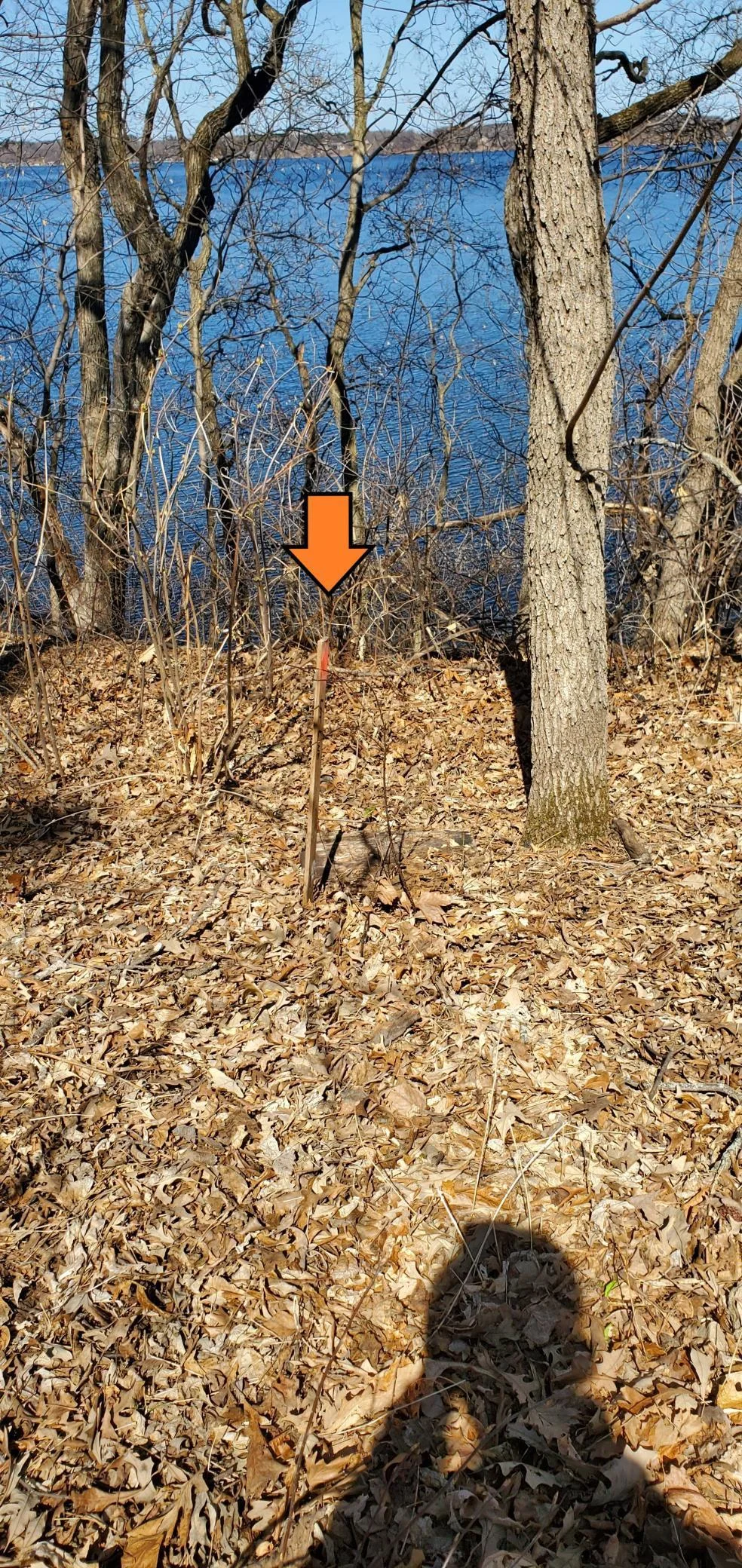 20210401_122513.jpg