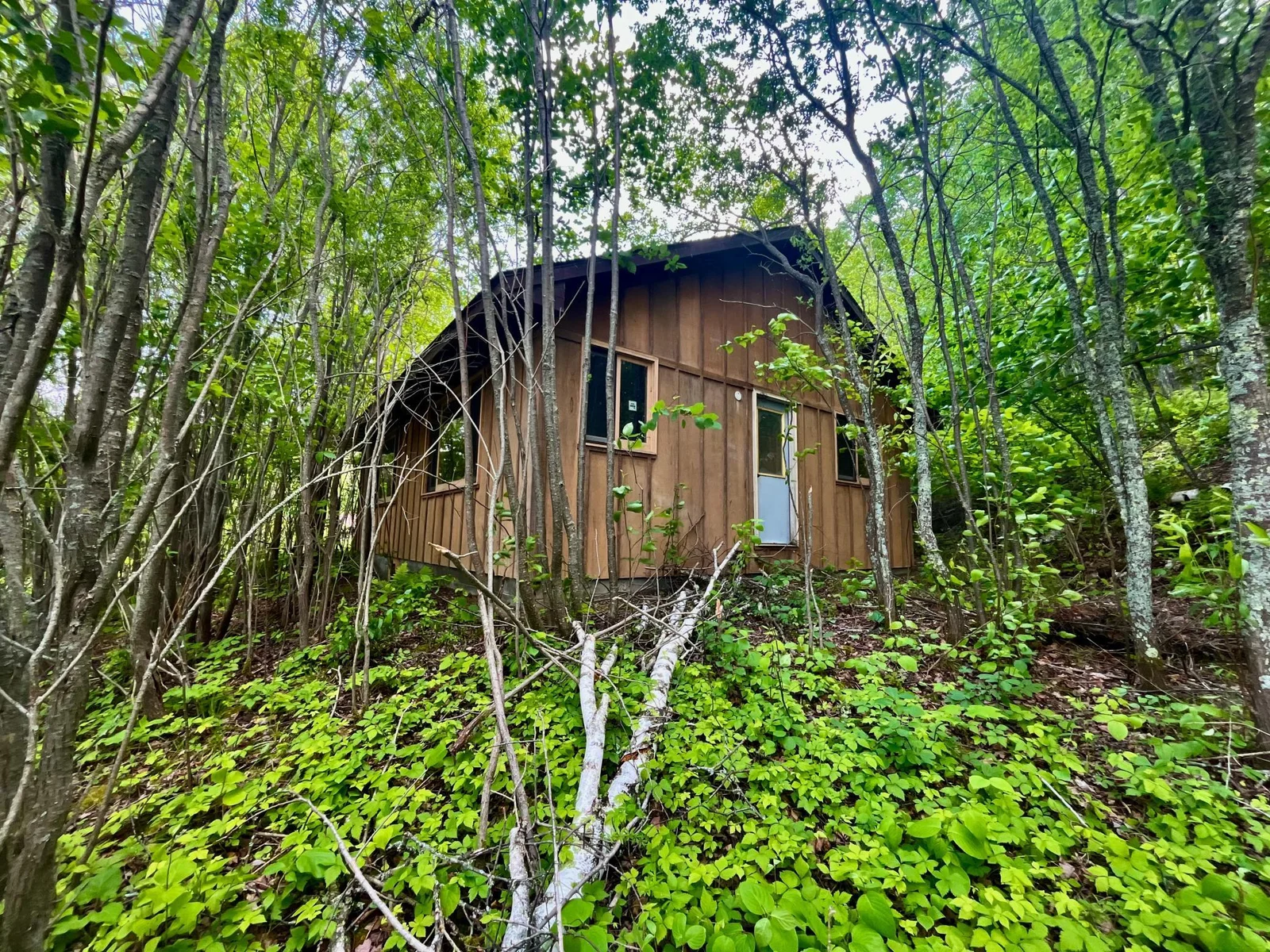 Photo 1 of 111 Wakeman Bay