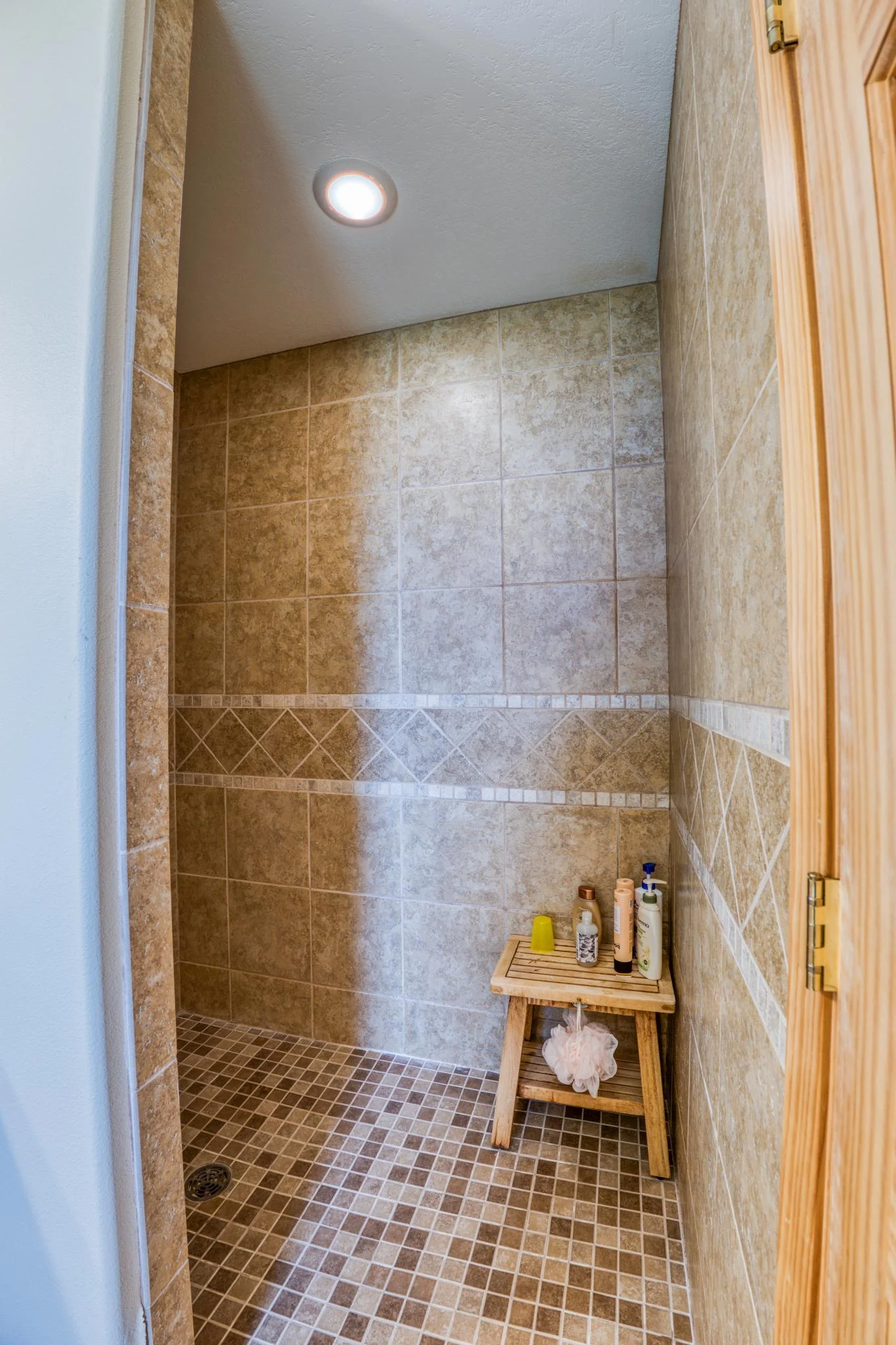 Primary Suite Shower 2