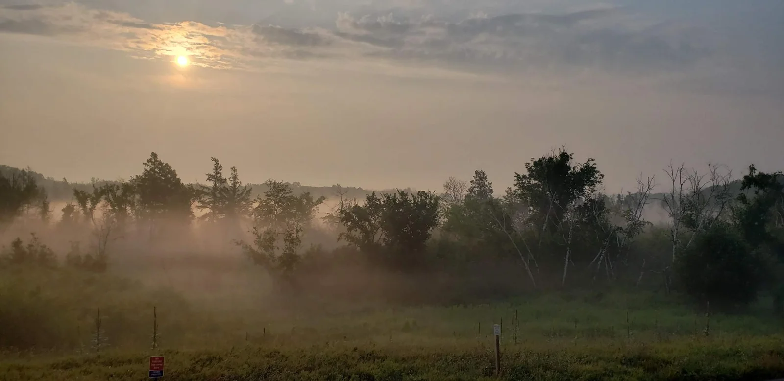 20230724_070545.jpg