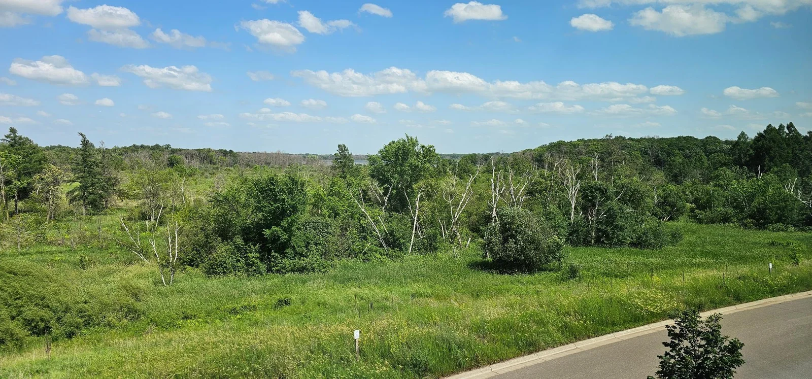 20250622_154355.jpg