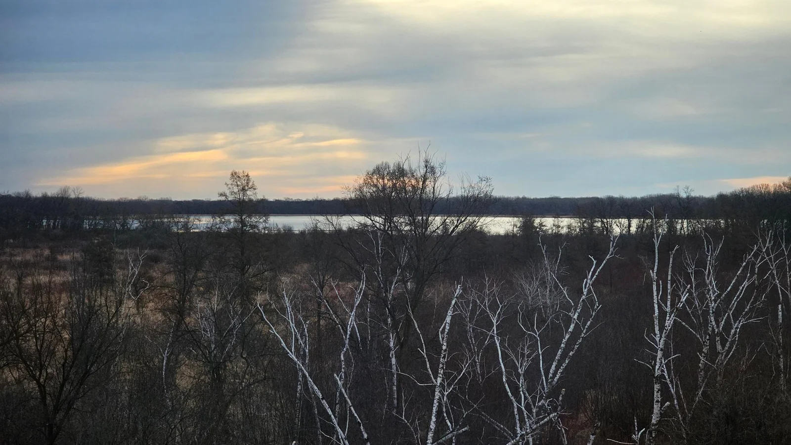 20250318_082404.jpg