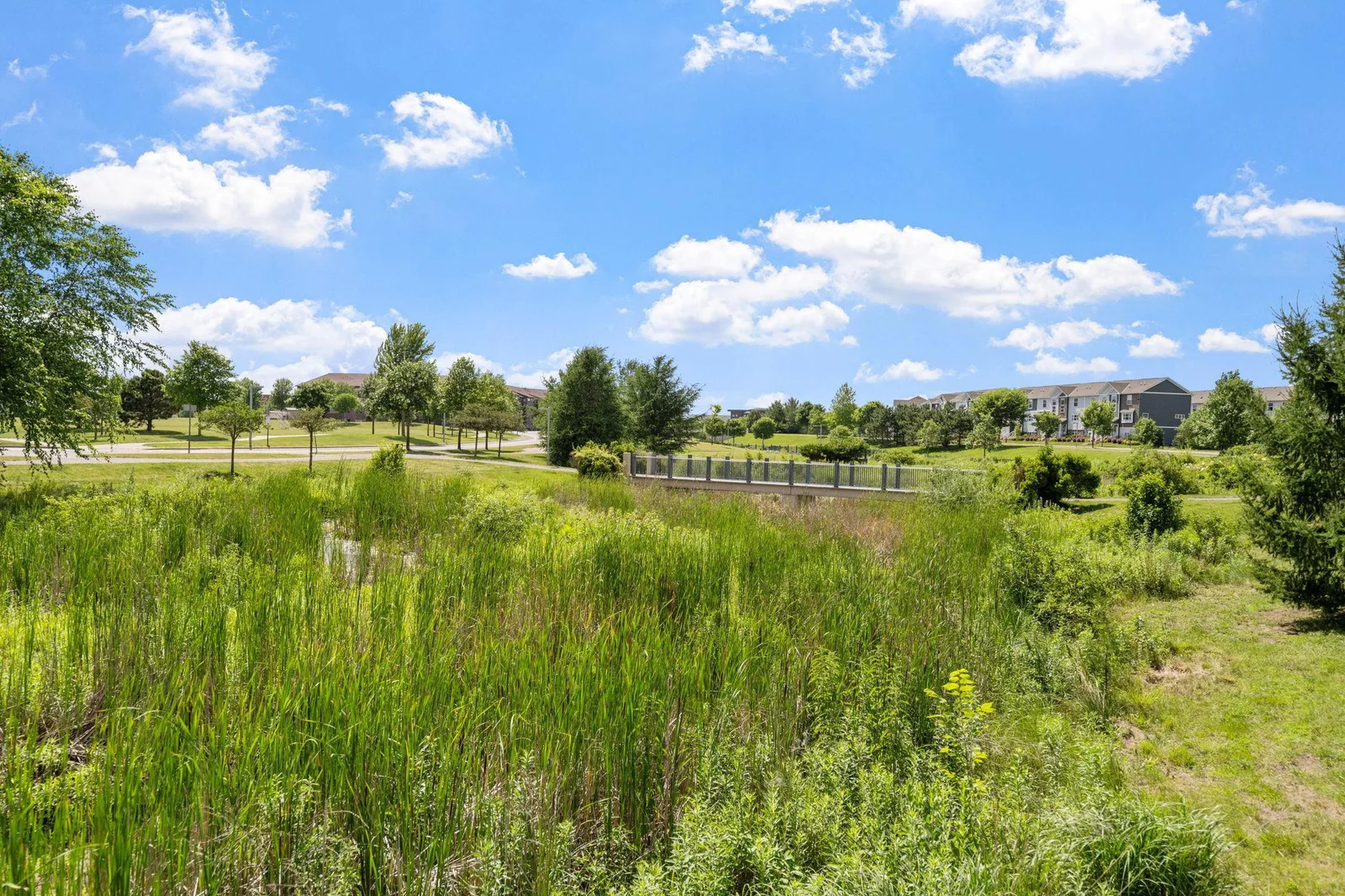 9-web-or-mls-14579 Olivine St NW-9.jpg