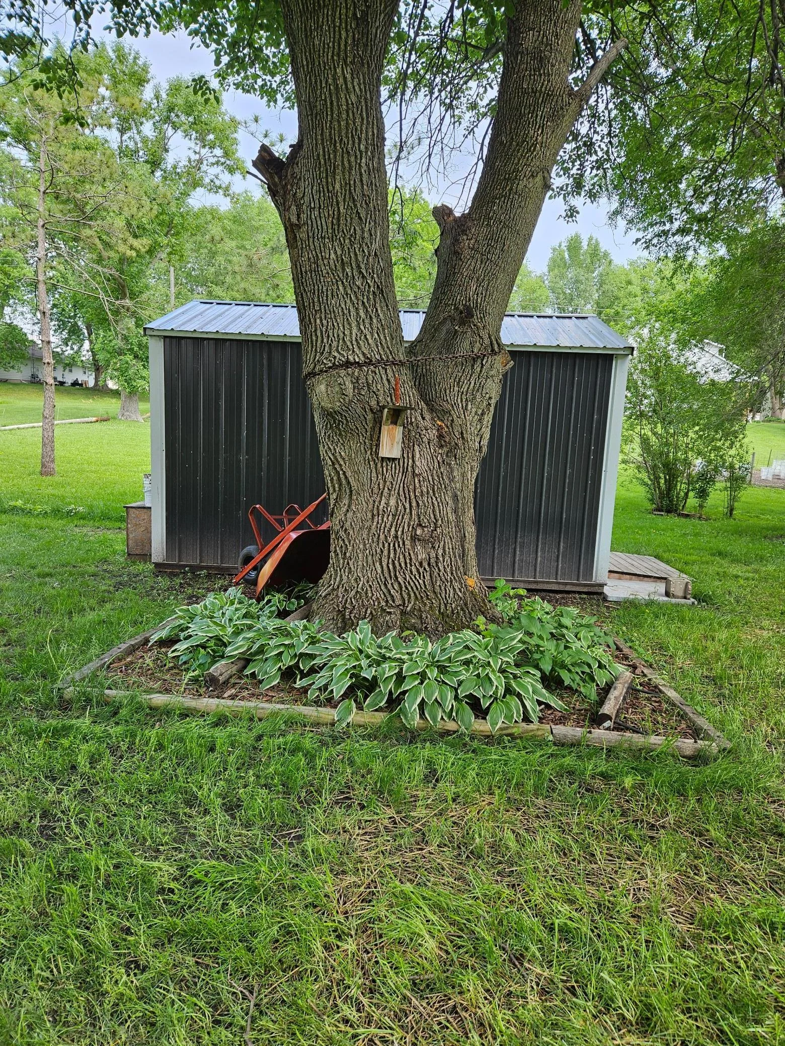 Storage Shed