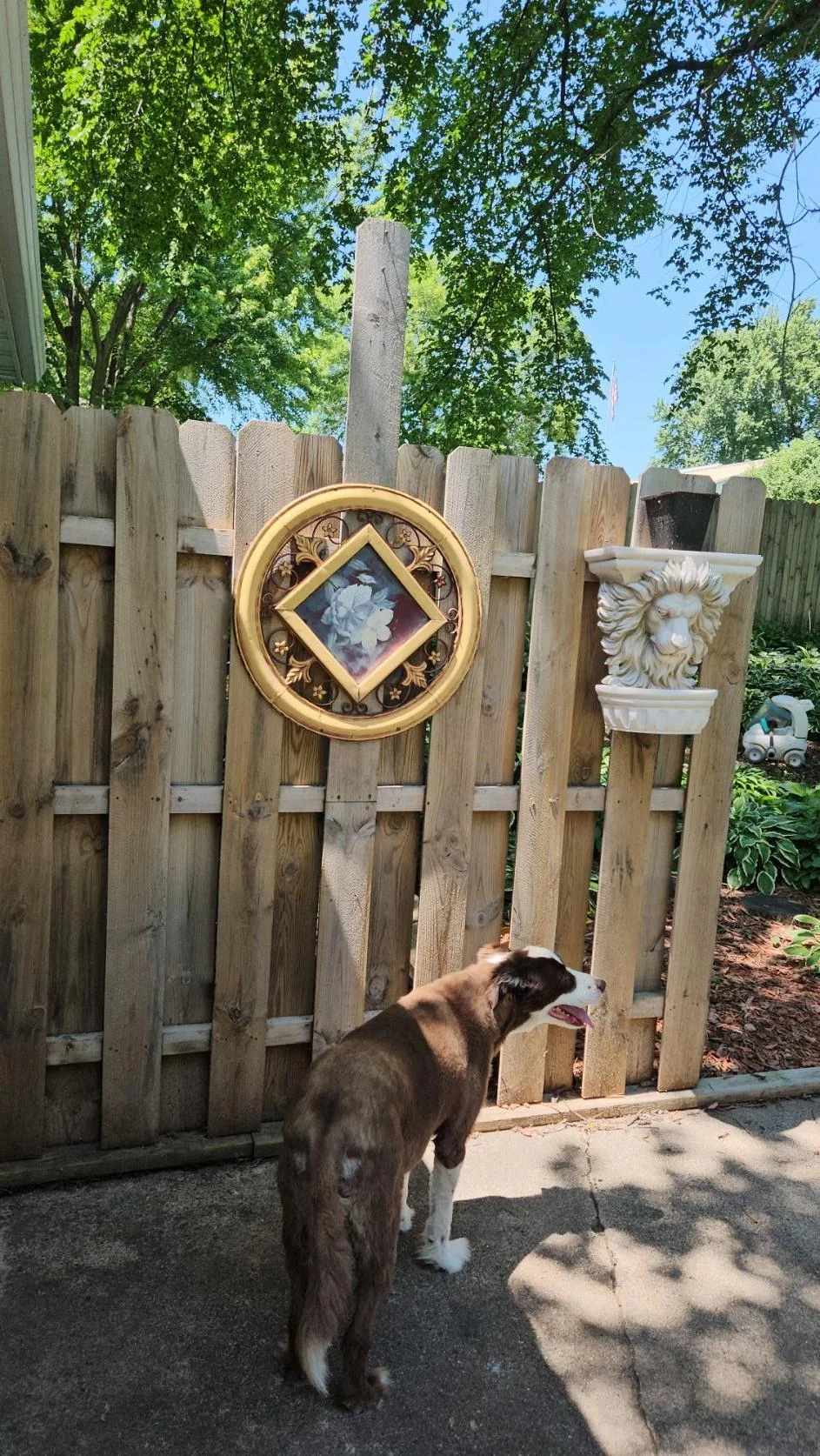 Back Yard Fence