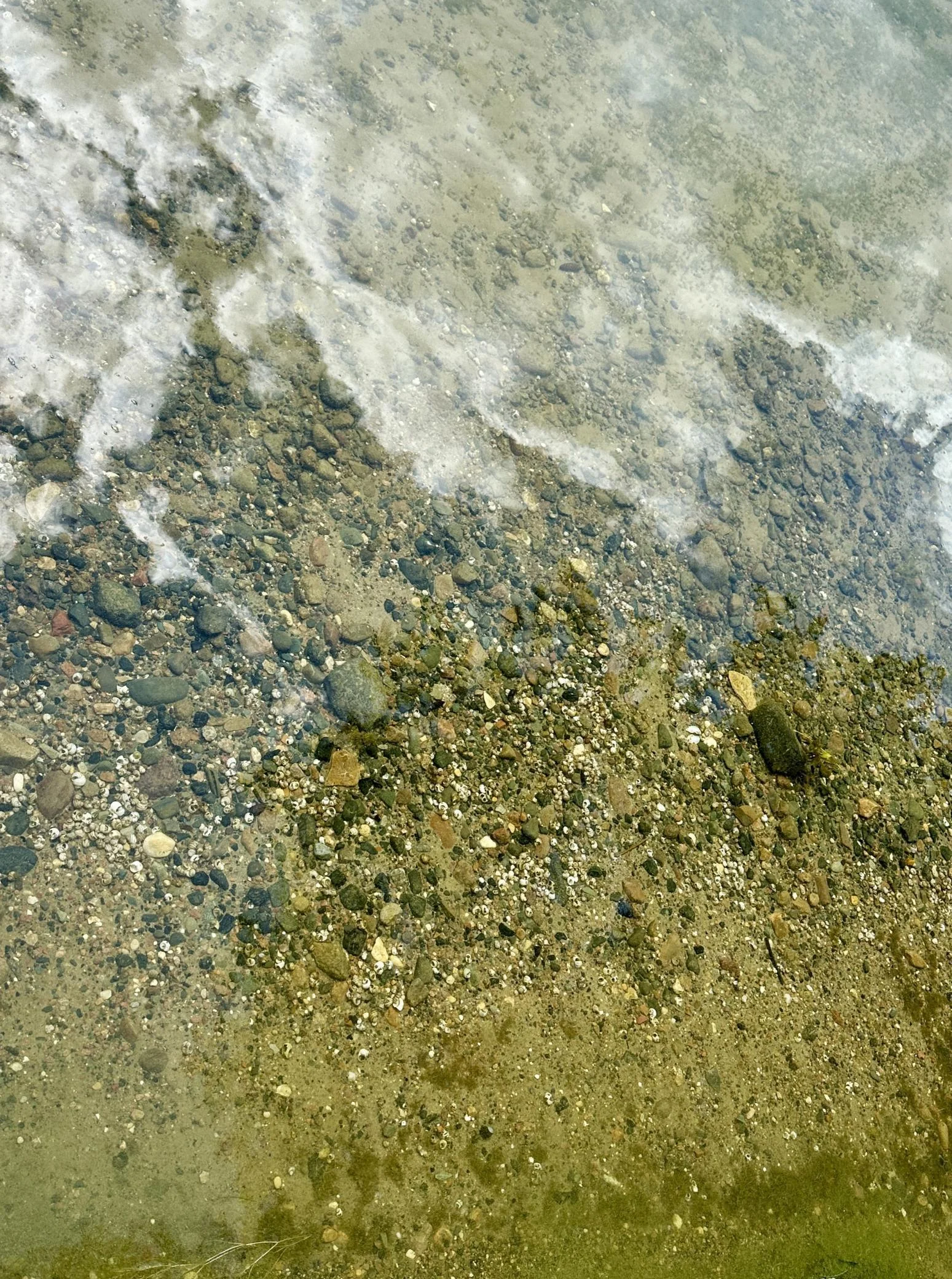 Closeup Lake Bottom