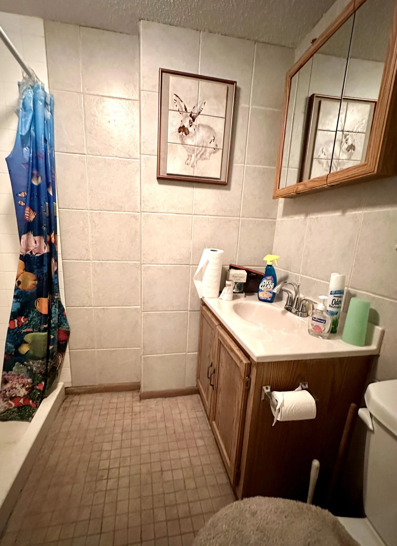 Basement Bathroom
