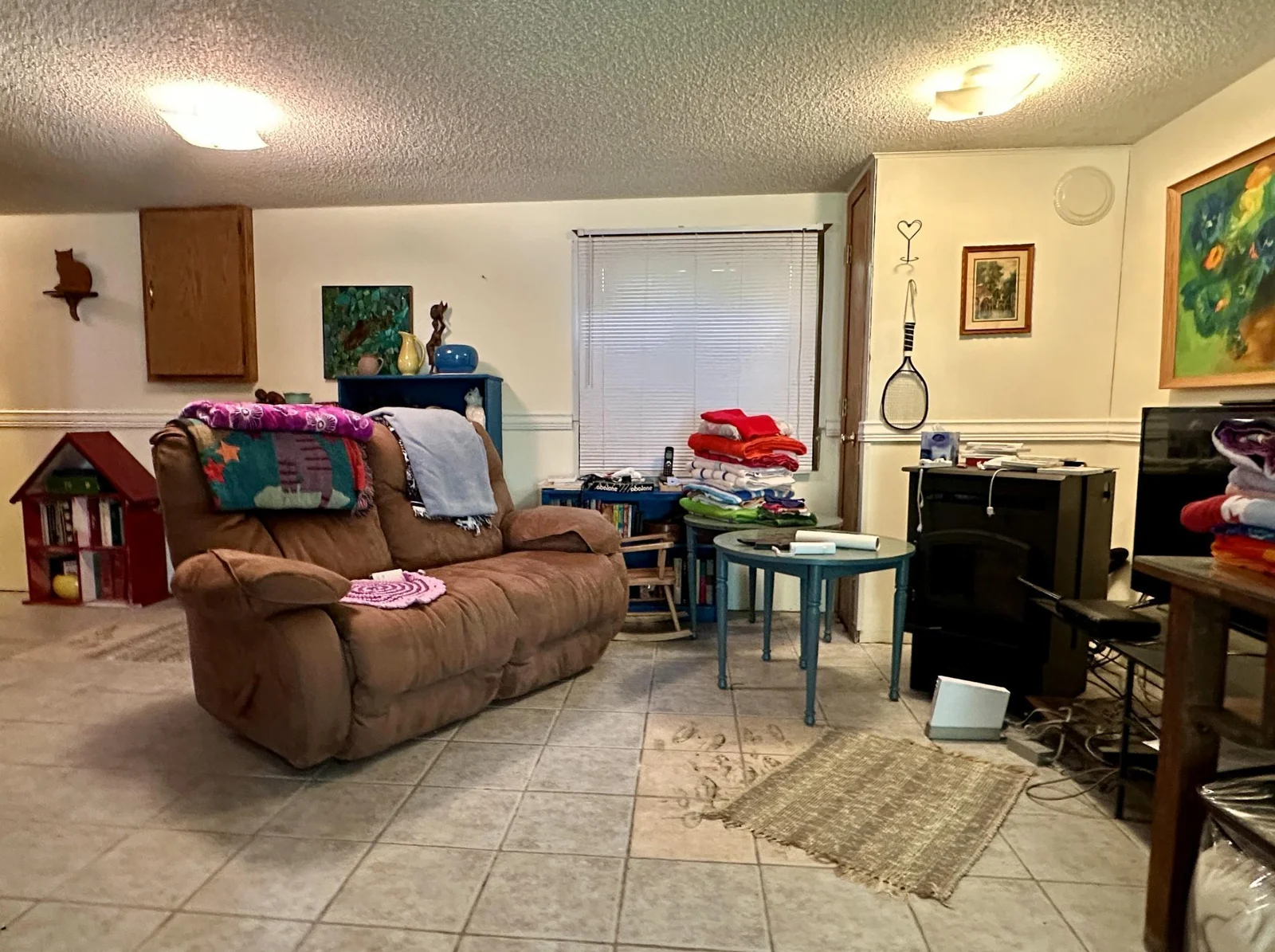 Basement Living Area