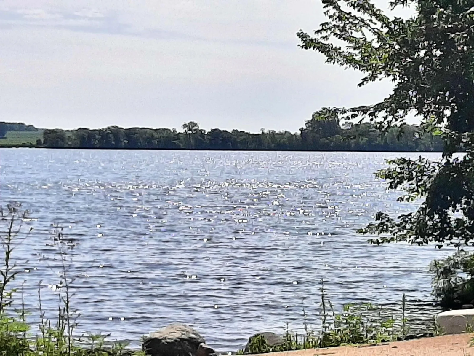 Take a dip.JPG