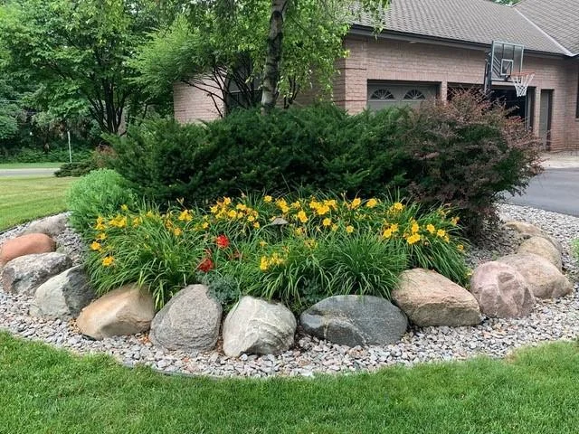 photo of front yard in the summer