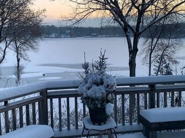 View of the back yard in the winter