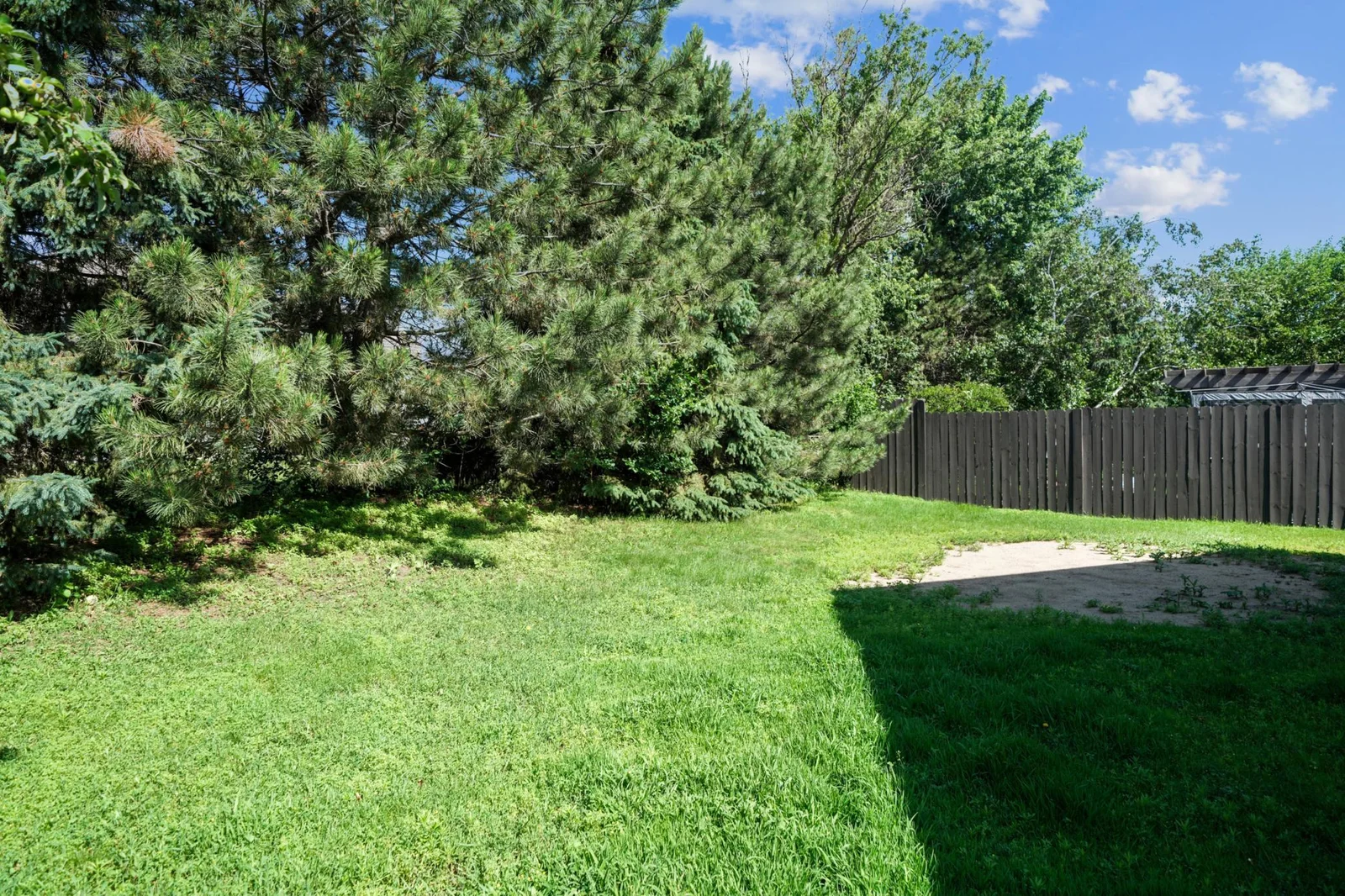 Backyard with mature trees.