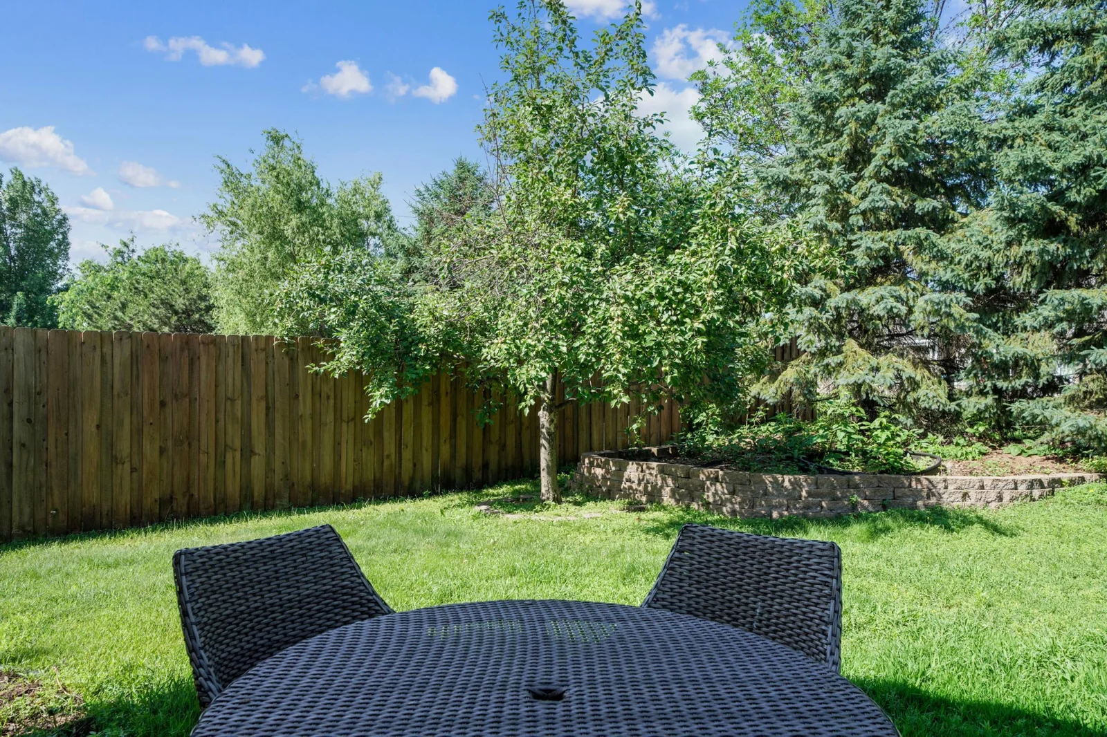 Spacious private backyard with patio and apple tree.