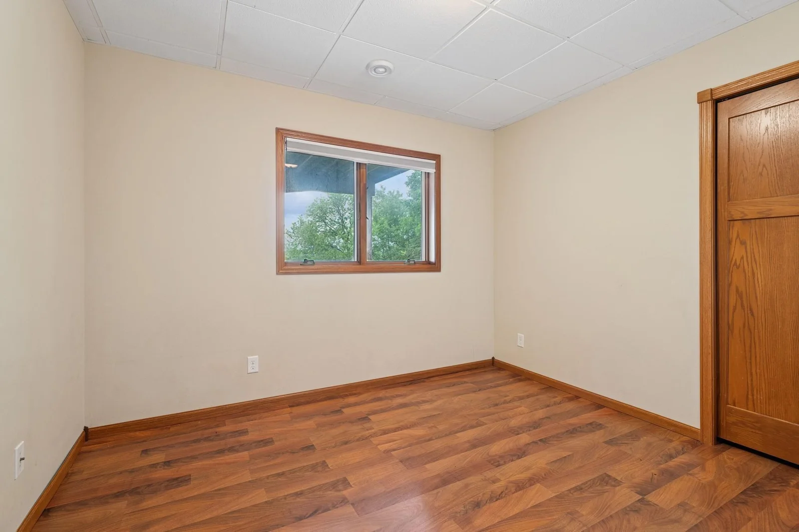 Lower level bedroom