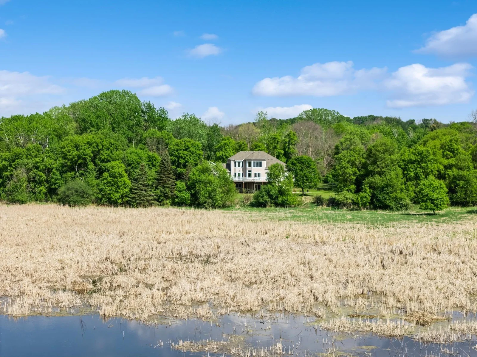 Wildlife filled wetlands with deer, fox, swans, cranes, eagles, and so much more.