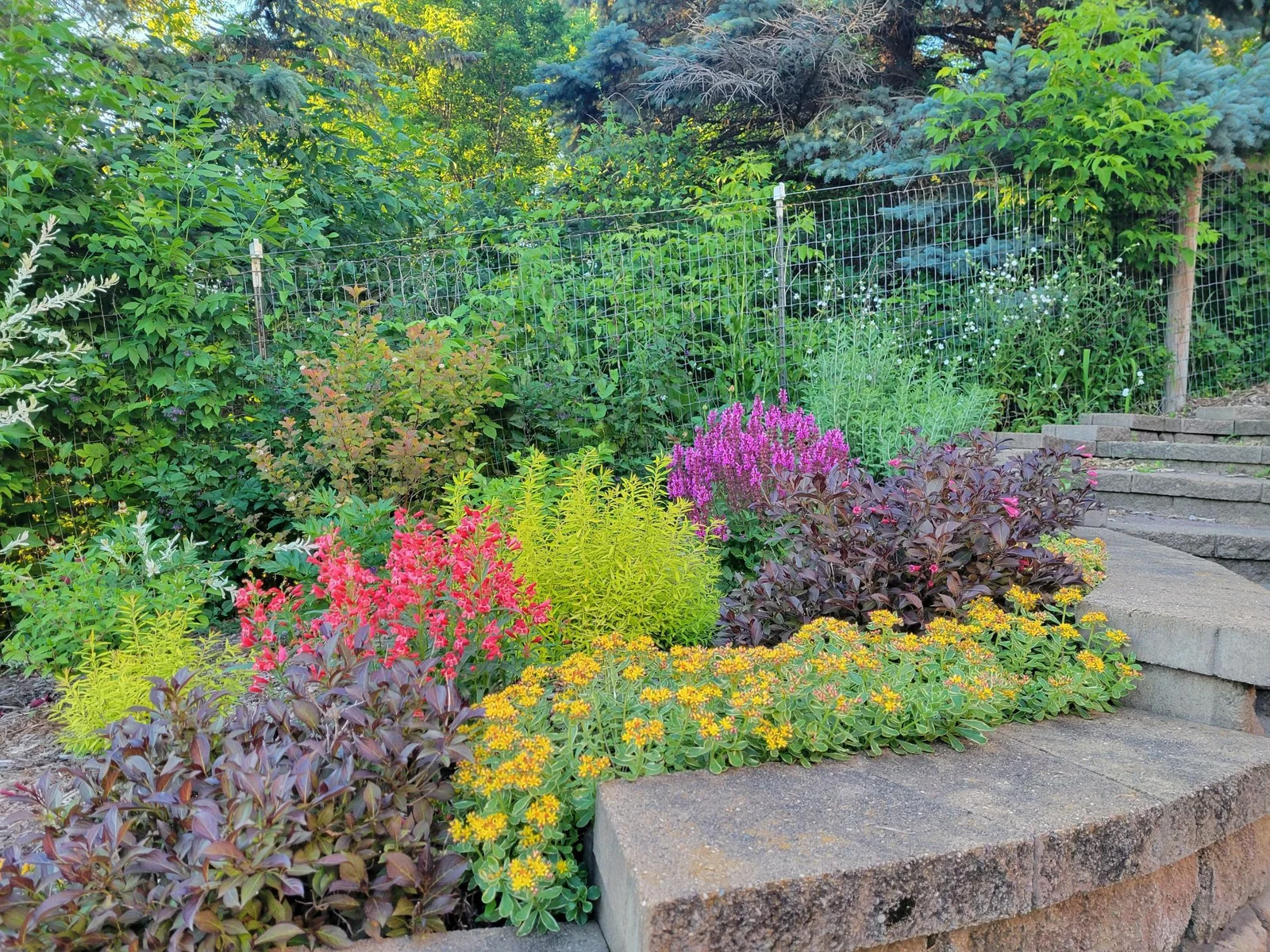When the flowers bloom!
