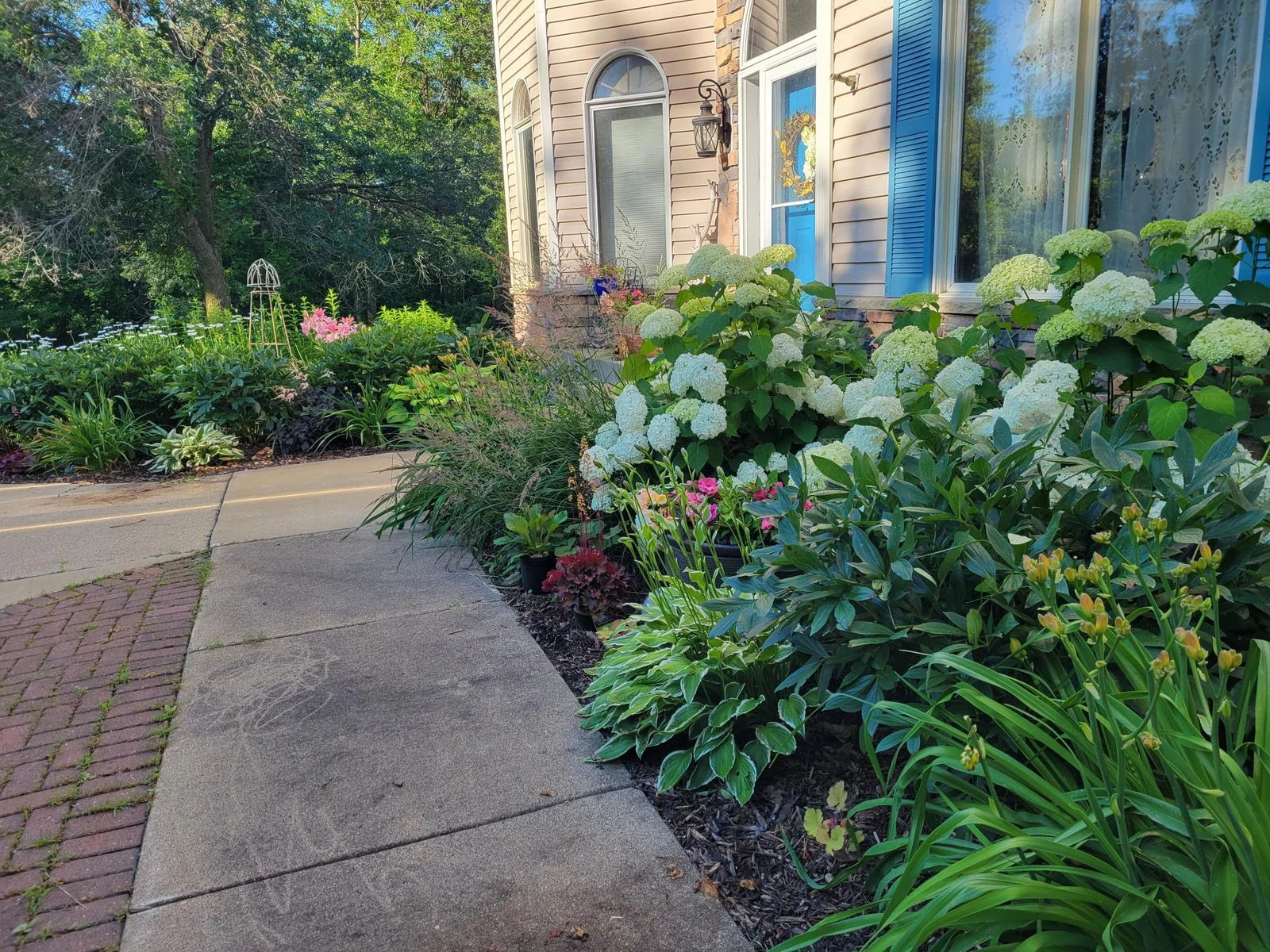 Gorgeous front flower beds in bloom