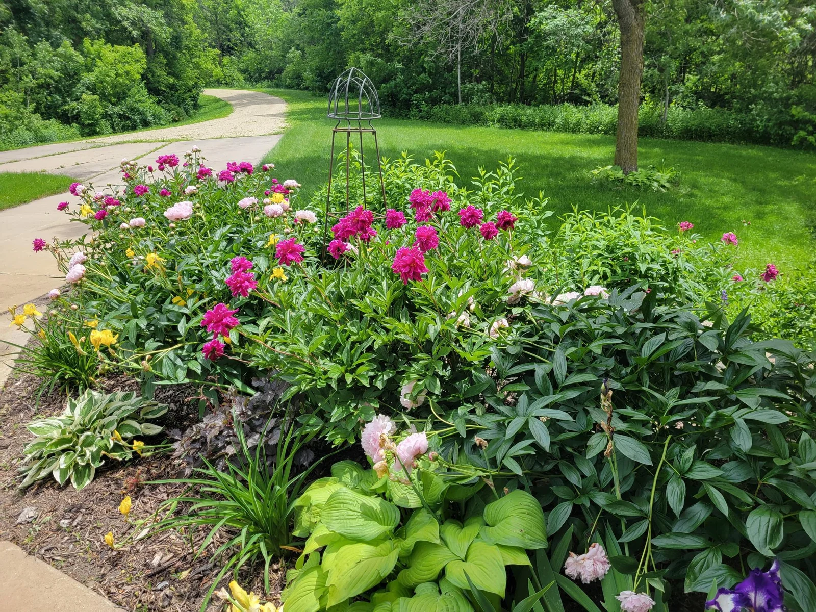 Gorgeous front flower beds in bloom