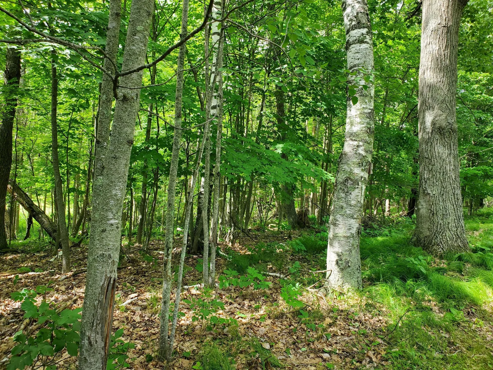 20220630_104119.jpg