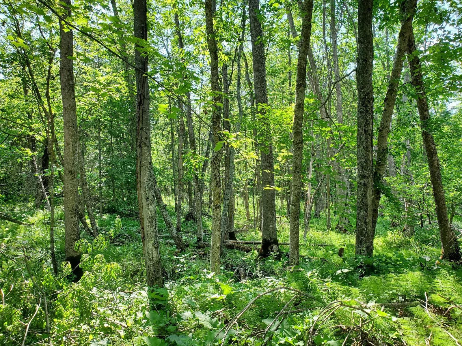 20220701_172000.jpg