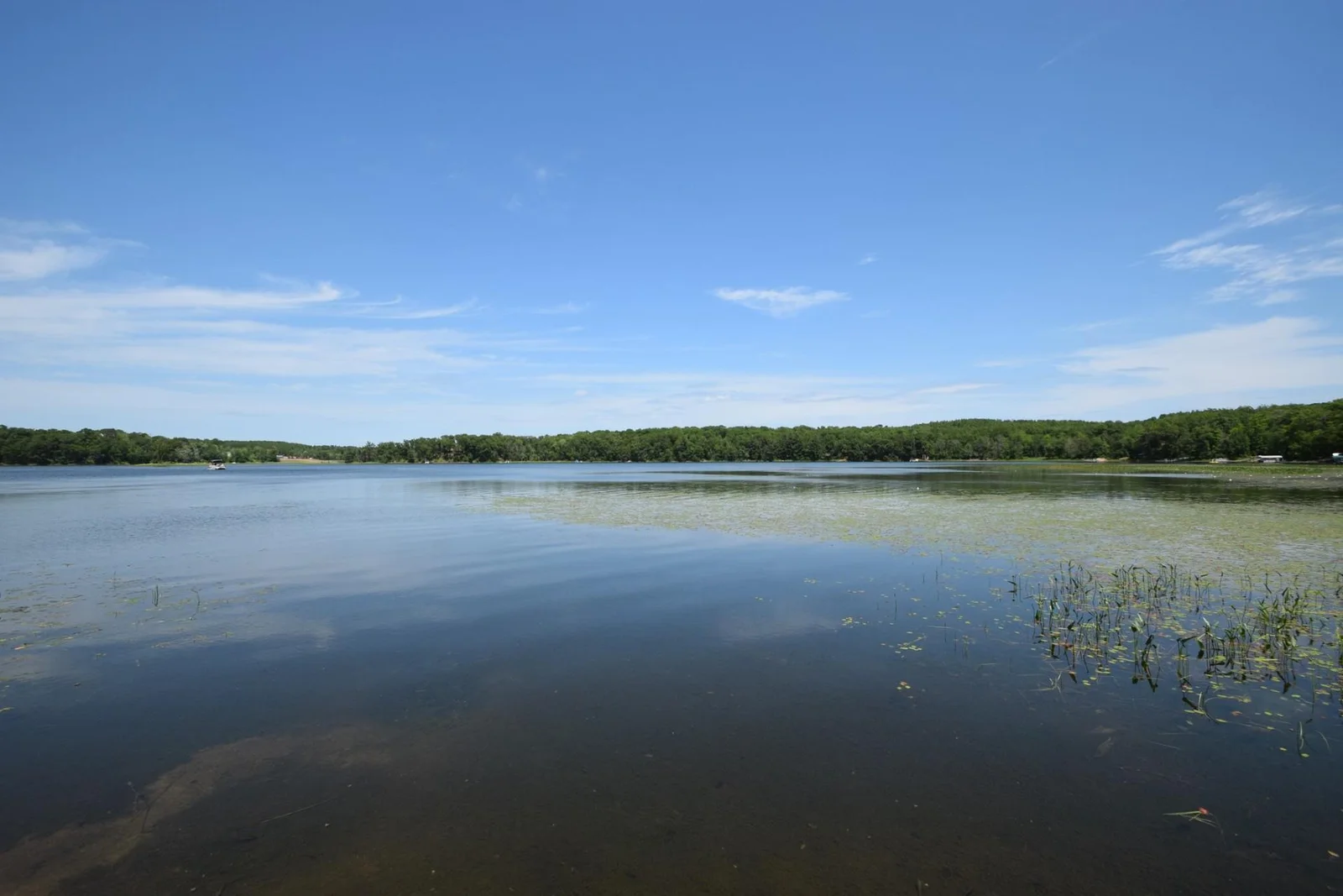 thumbnail_DSC_0032.jpg