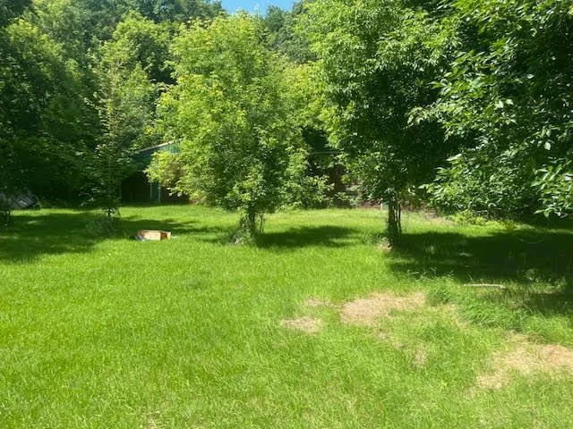 level open Backyard.jpg
