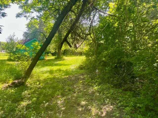 marked trail.jpg