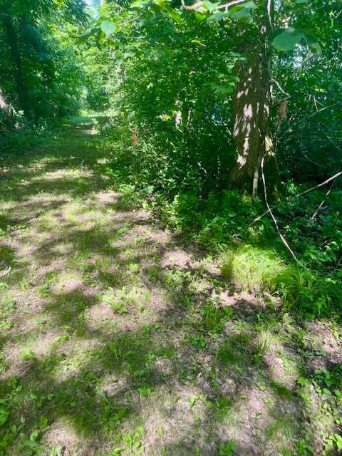 trail to shoreline with property