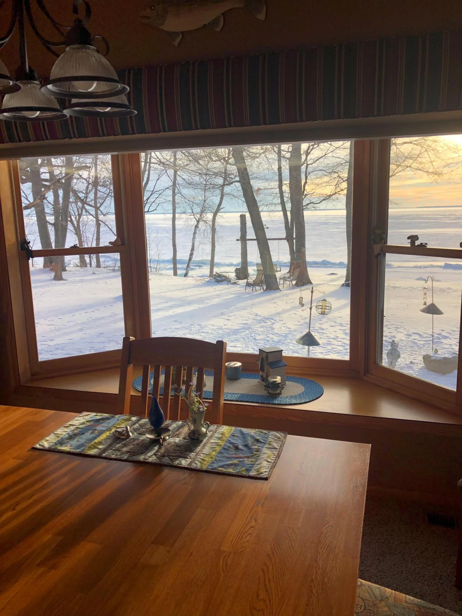 View from the kitchen table