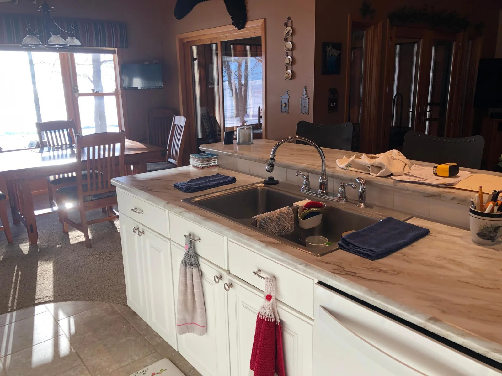 Sink and Dishwasher