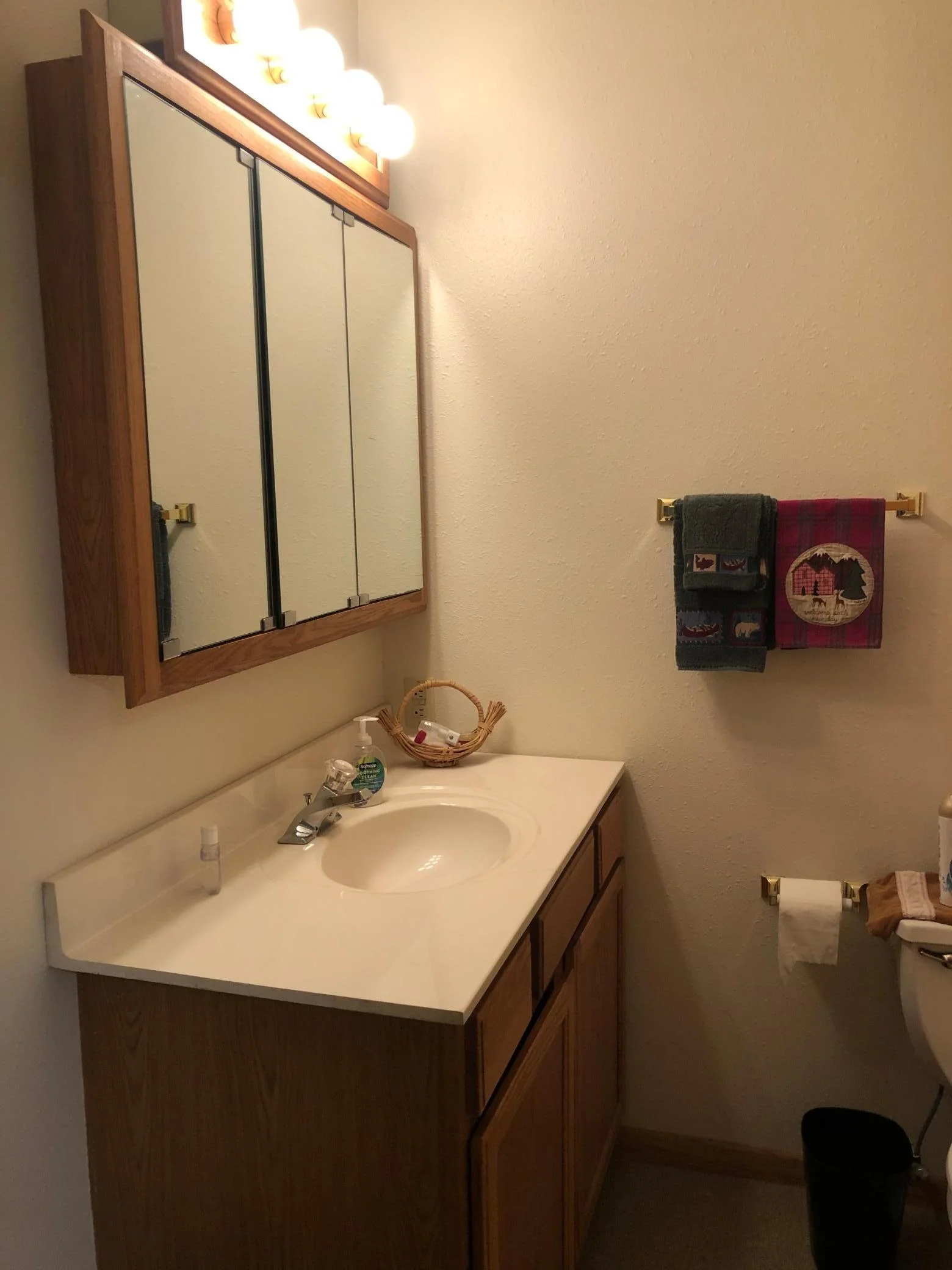 Basement 3/4 Bath