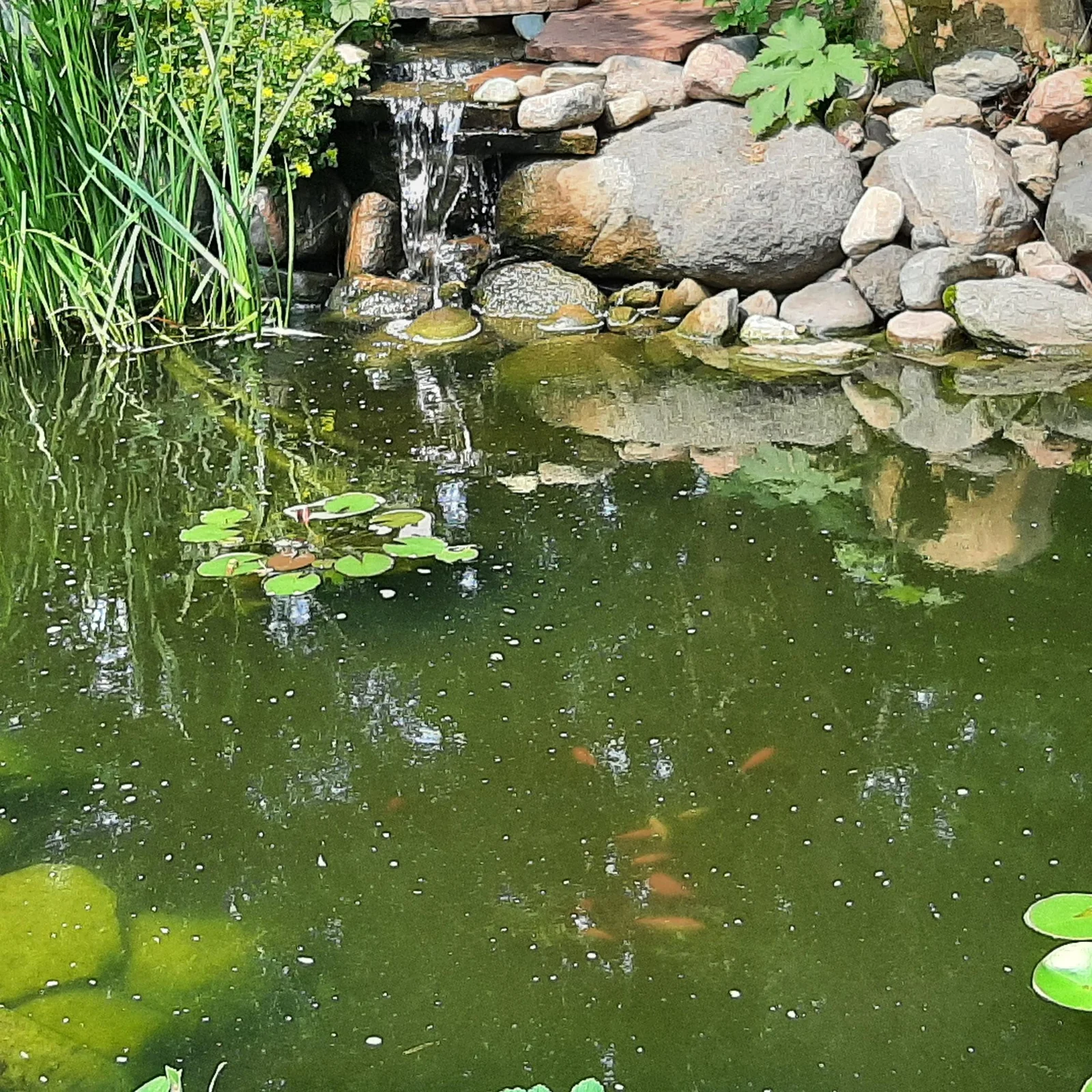 Water feature Pond by Entrance