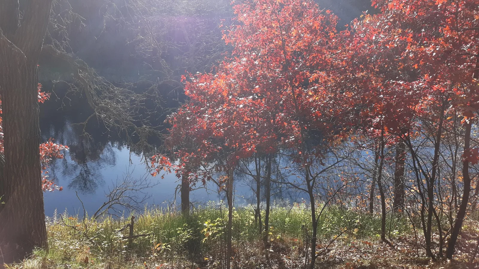 fall