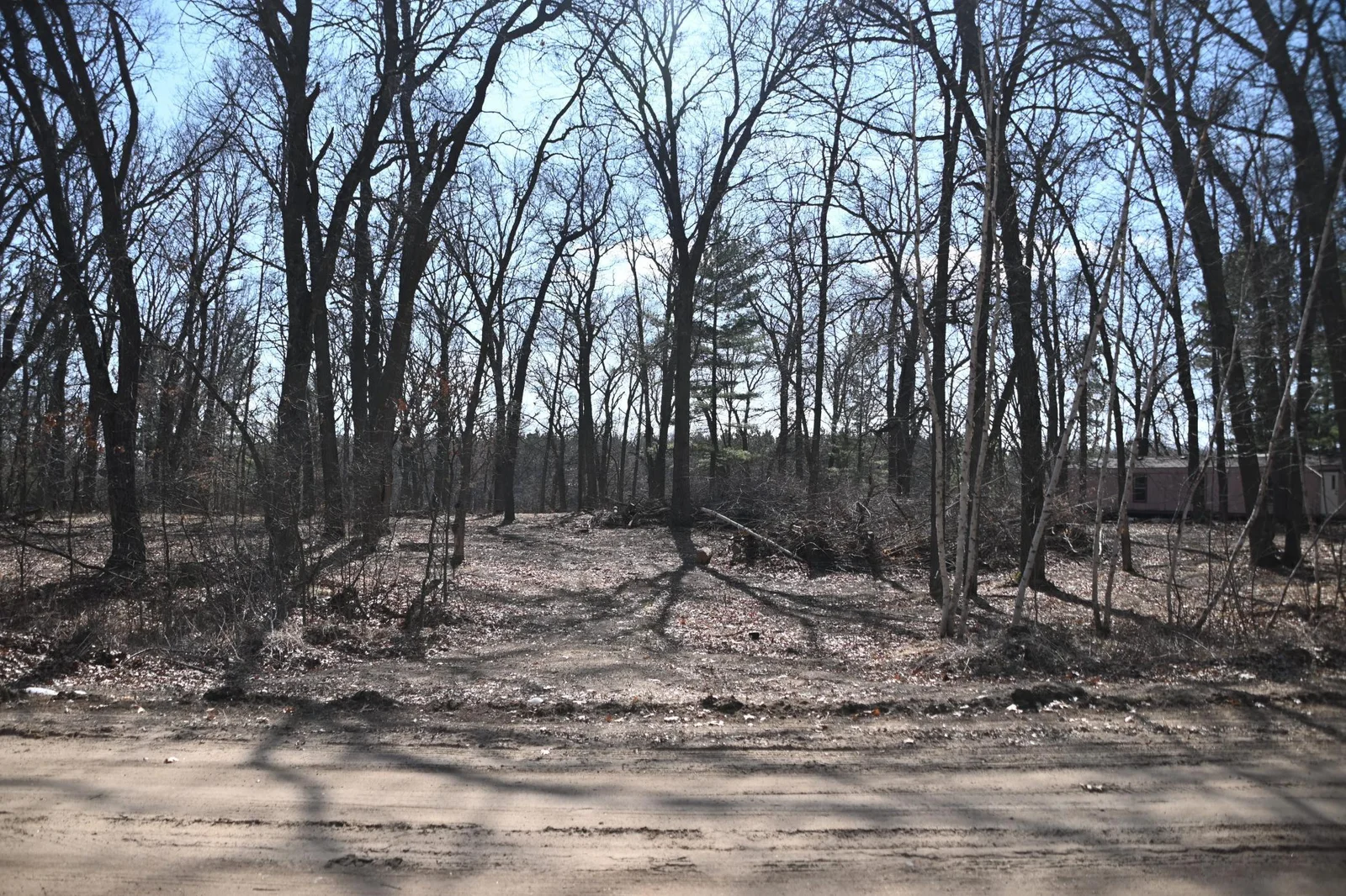 driveway.jpg