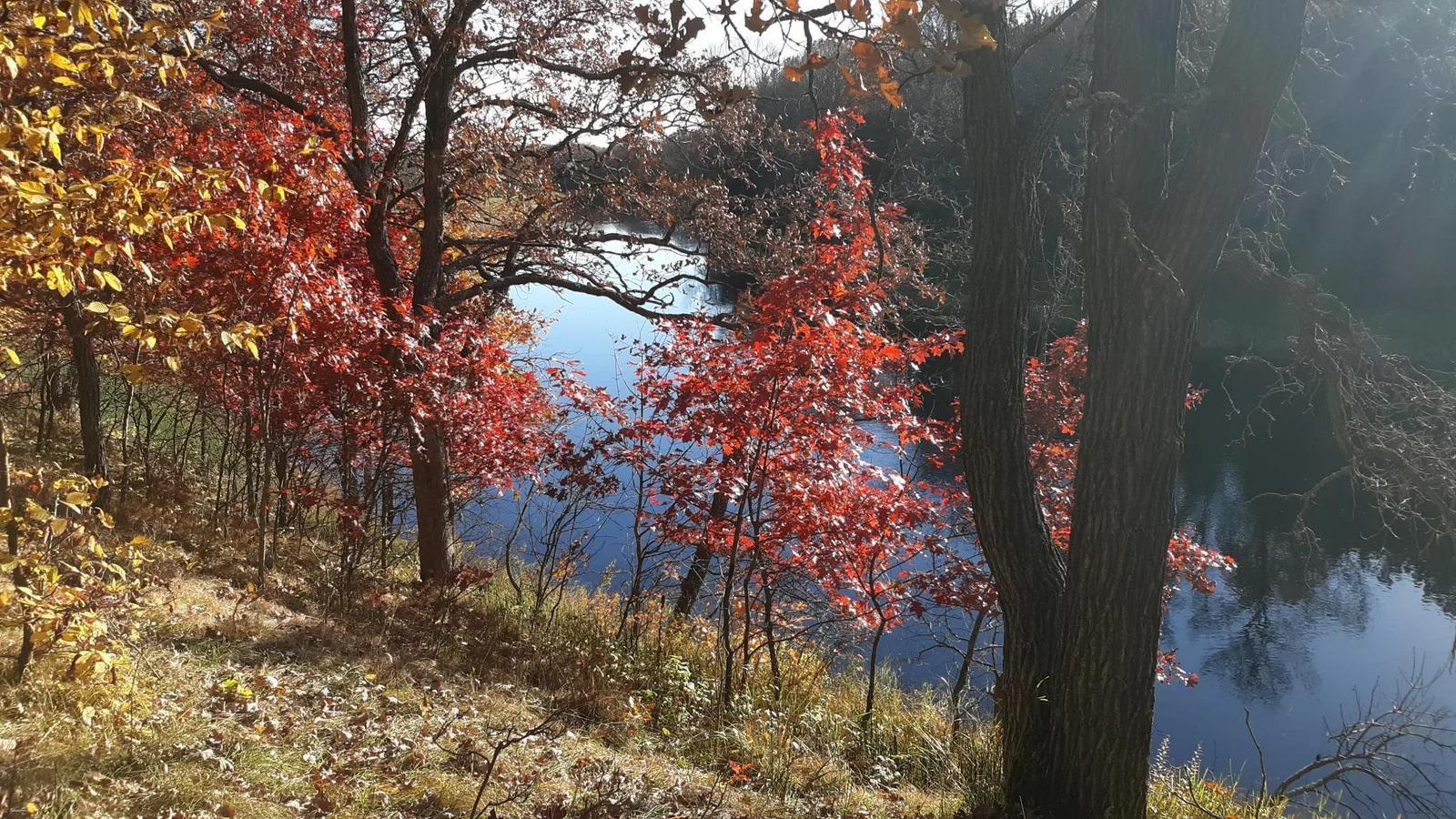 fall