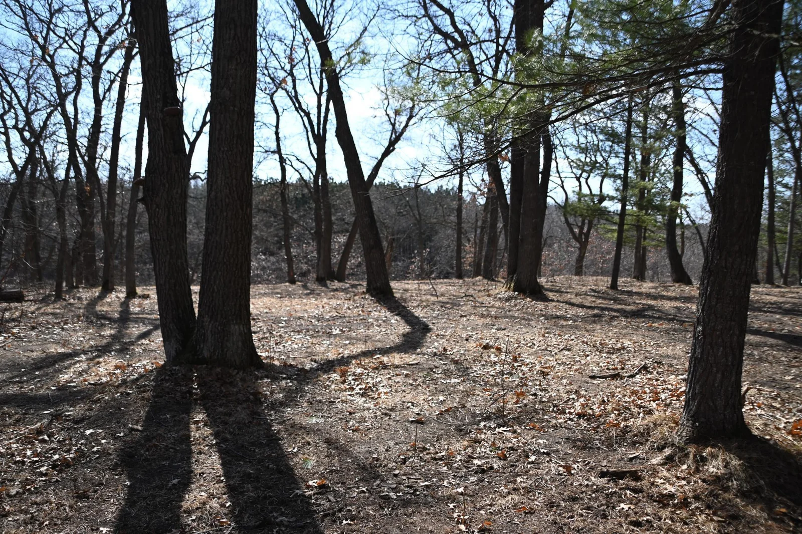 Thumbnail photo 7