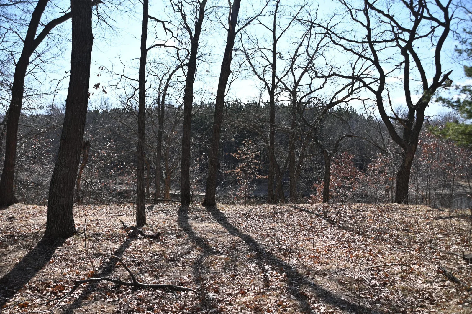 Thumbnail photo 4