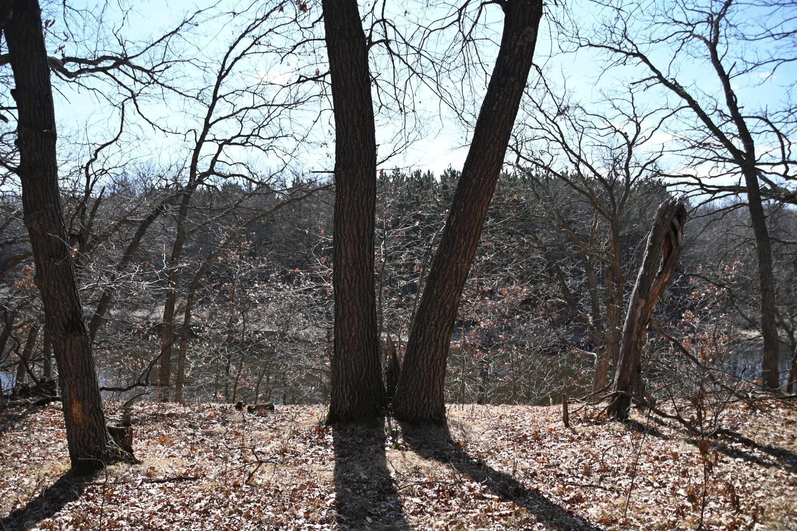 Thumbnail photo 3