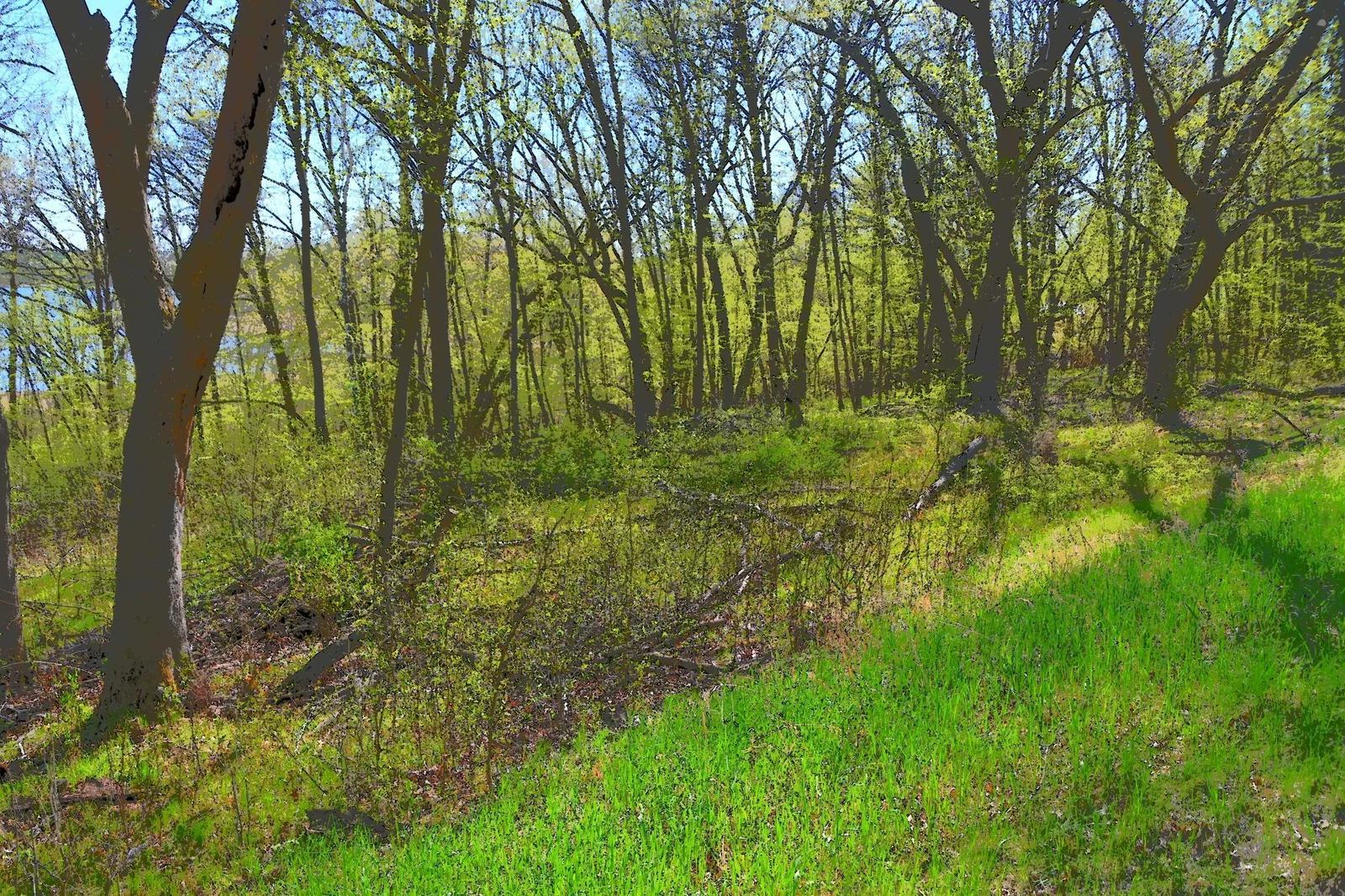 Thumbnail photo 5