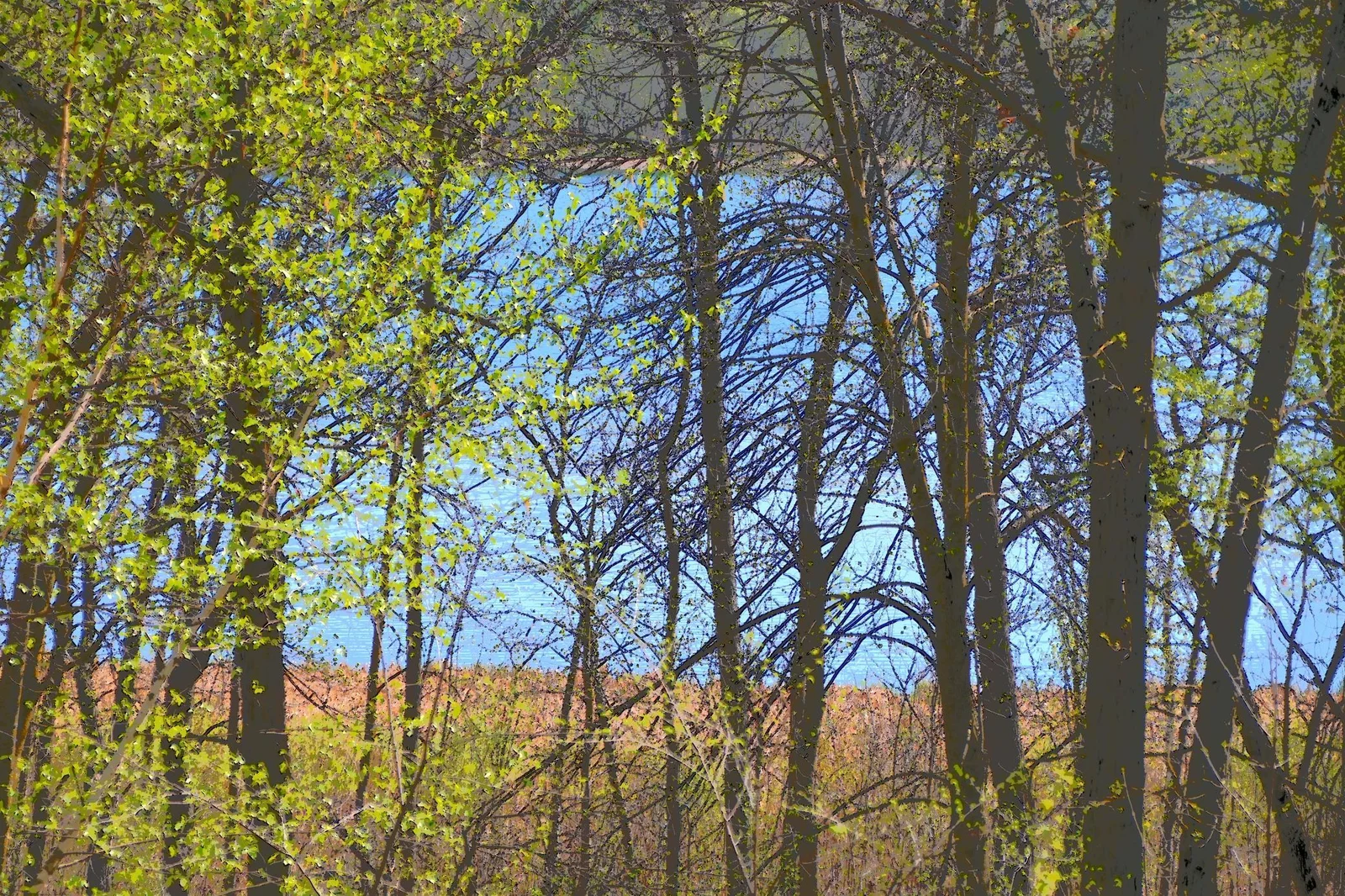 Thumbnail photo 7