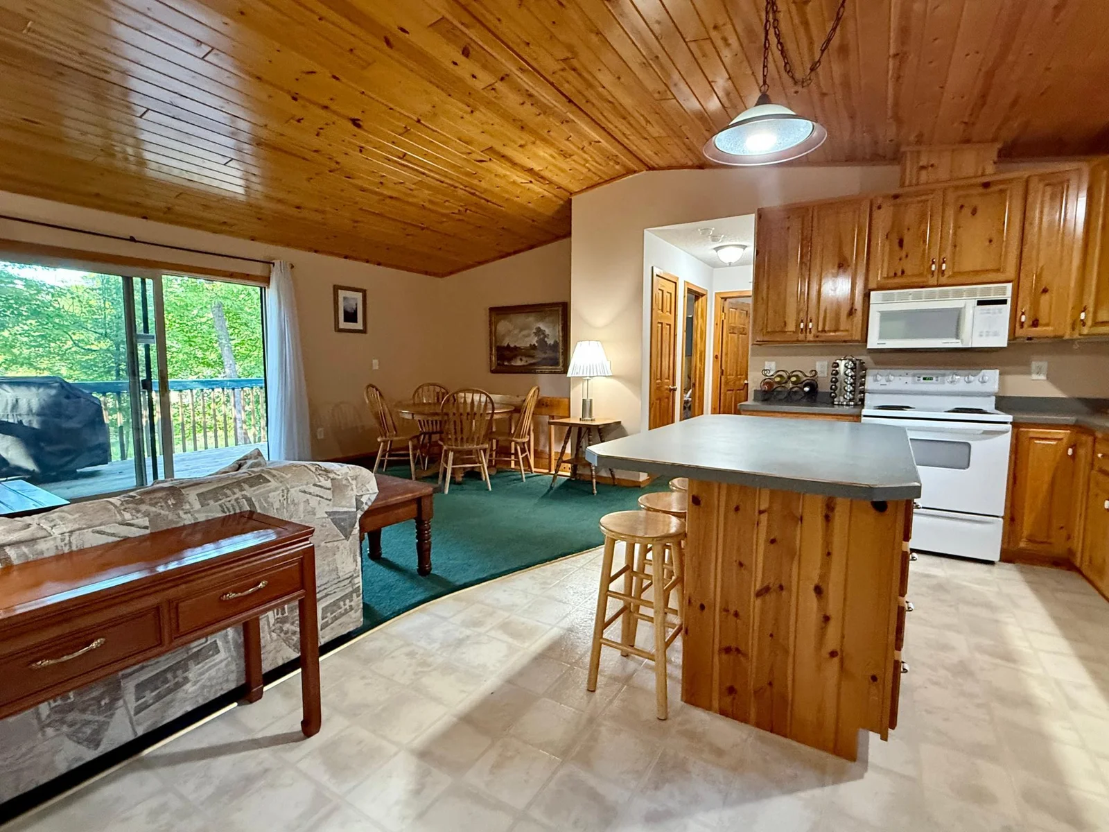 Vaulted Ceiling/Open Concept