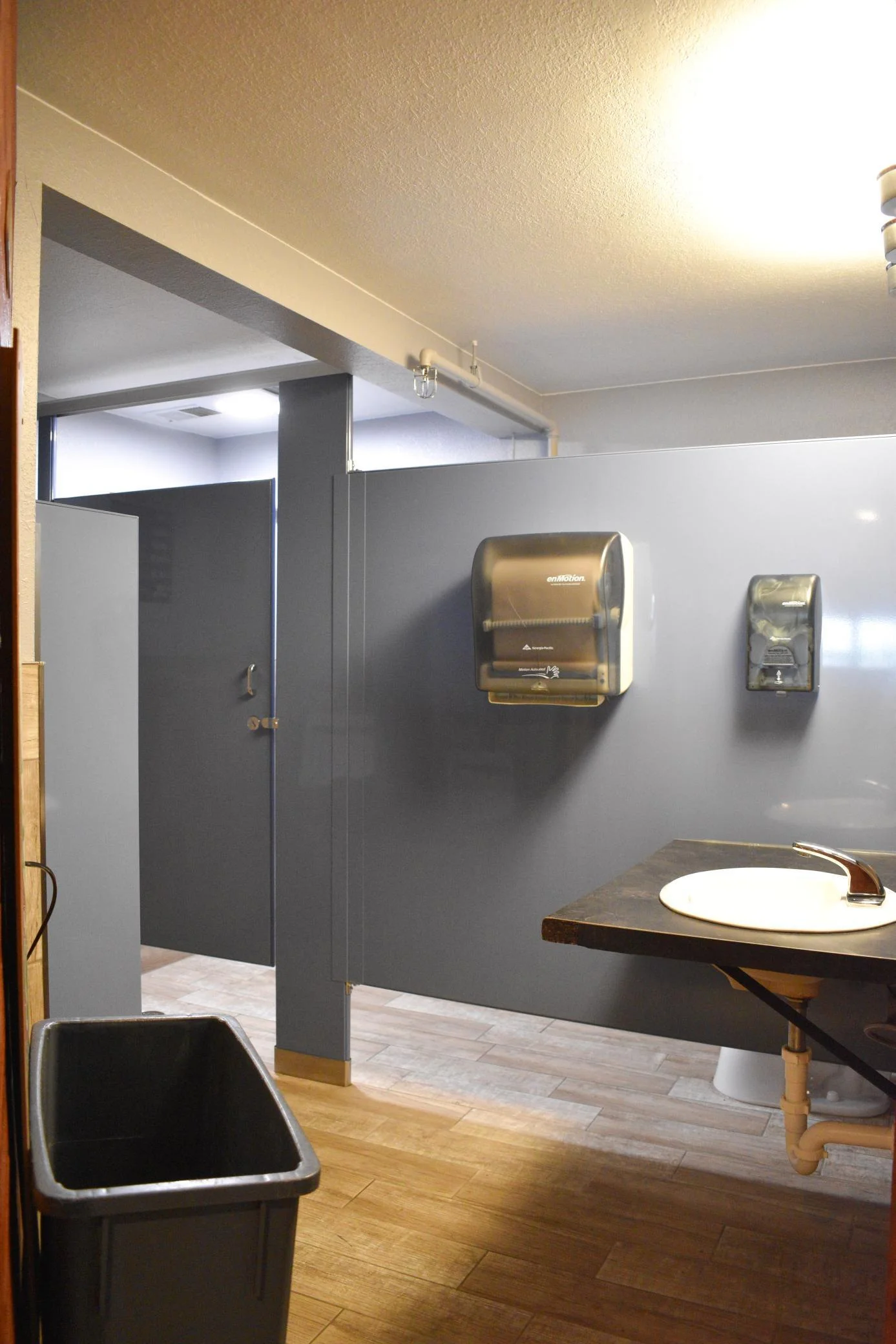 Lower Level Bathroom