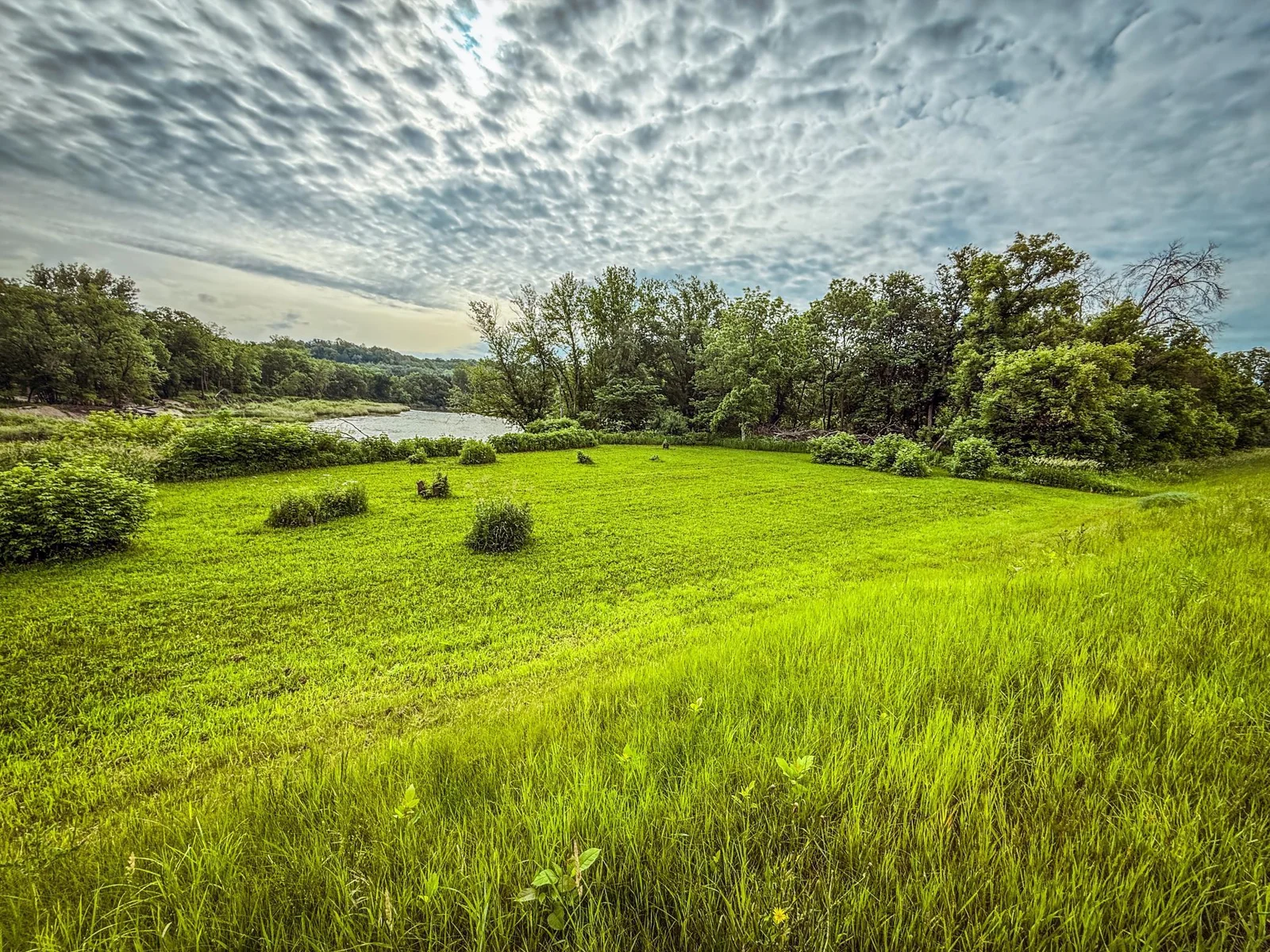 Wabasha 13.9-18.jpg