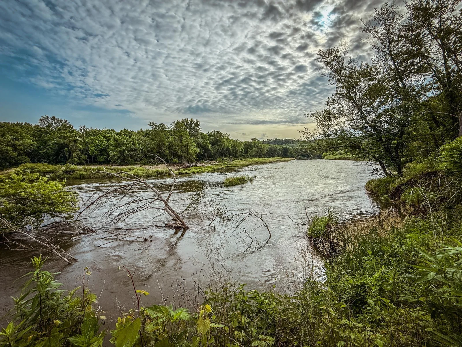 Wabasha 13.9-19.jpg