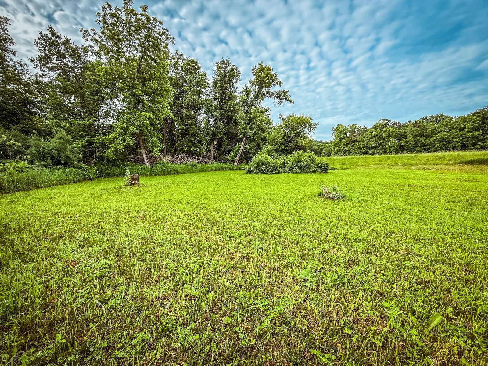 Wabasha 13.9-20.jpg